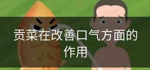 贡菜在改善口气方面的作用